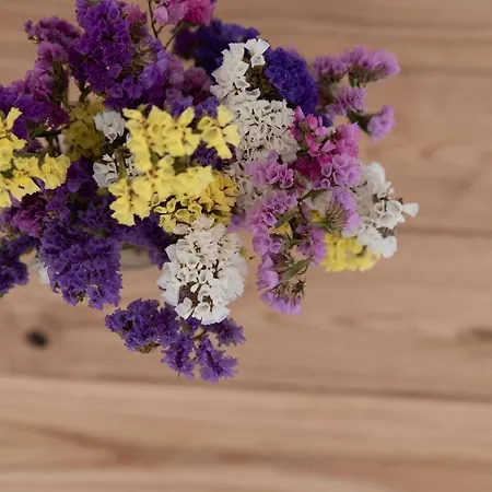 Vavoulas Village Lejlighed *