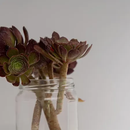 Vavoulas Village Mikri Vigla