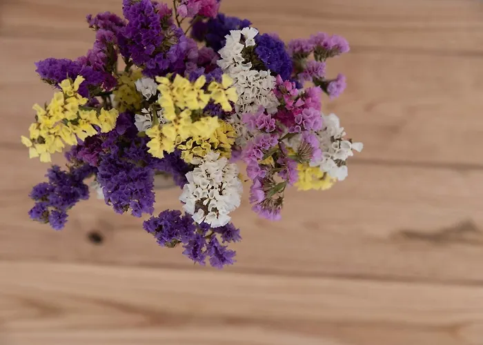 Vavoulas Village Appartement *