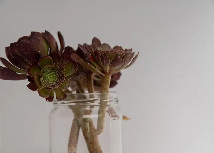 Vavoulas Village Mikri Vigla